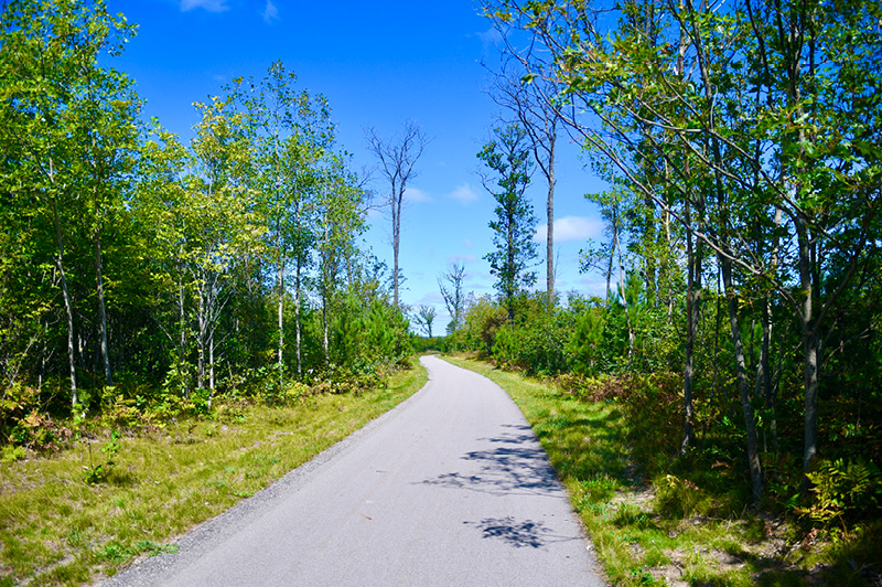 Forest Heritage Trail